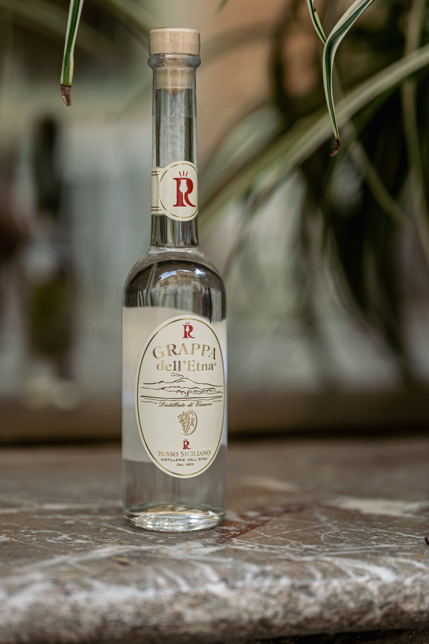 GRAPPA DELL'ETNA 40%